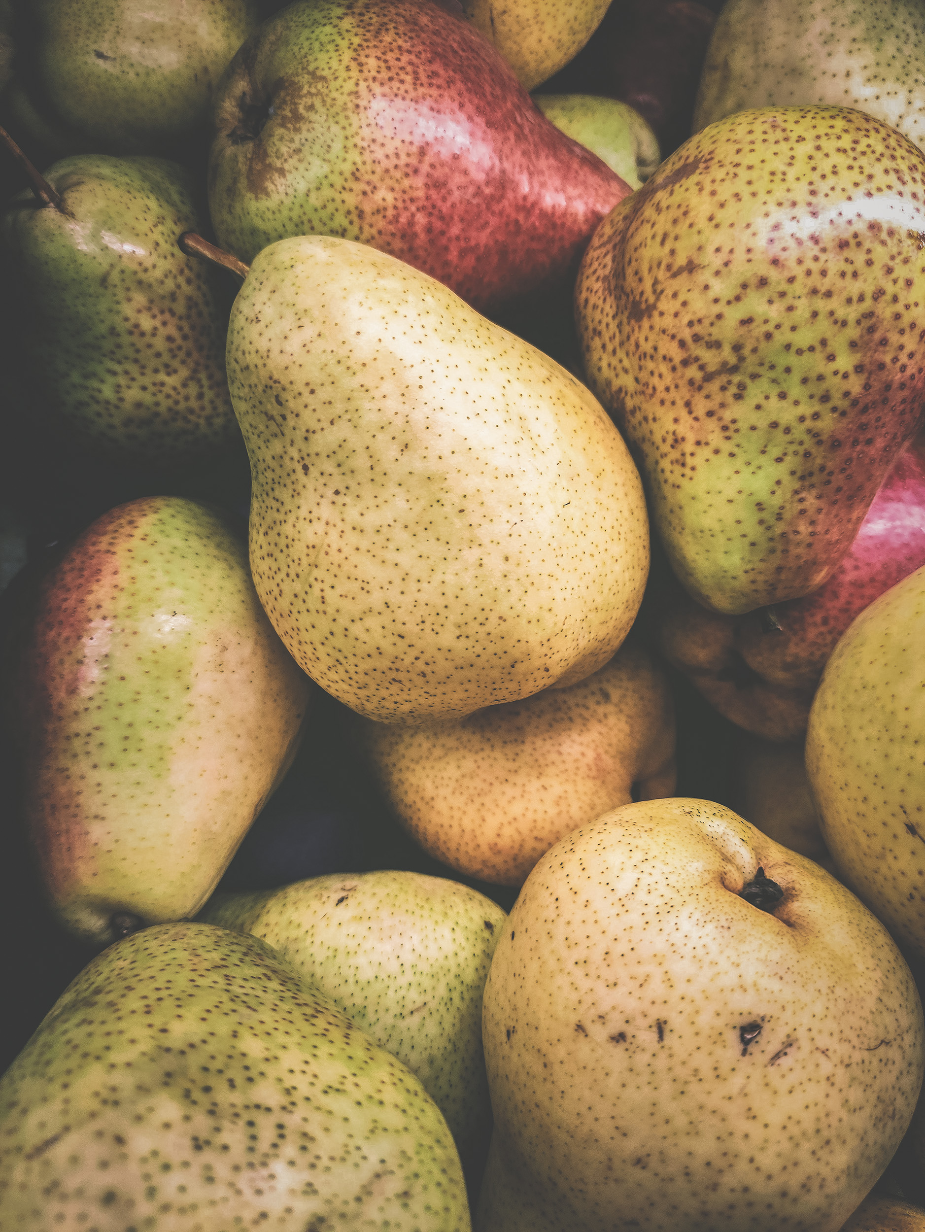 lovelli-fuad-5lrbbXC_kxA-unsplash